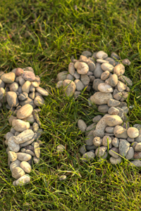 Rechenschwäche Dyskalkulie Zahlen Eins Zwei aus Steinchen auf Rasen